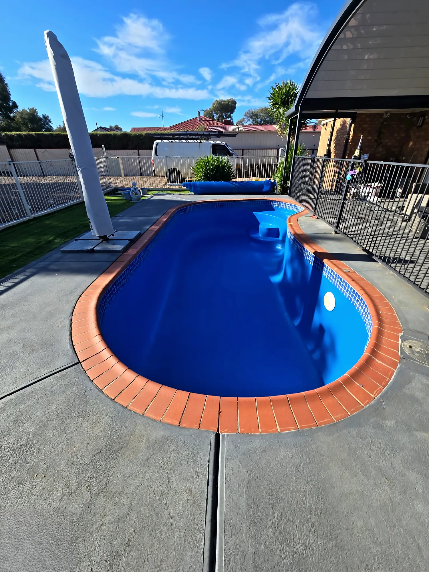 Deep-blue freeform pool with terracotta bullnose coping and a grey concrete surround on a sunny day